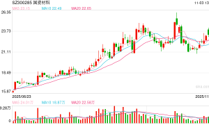 关联股东既当“裁判员”又当“计票员”？国瓷材料股东会程序违规收罚单 董秘被点名担责