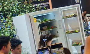 直击AWE | 董宇辉与王冰冰探展格力电器，遭“丈母娘”们现场围堵