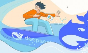 当AI开始“查户口”，谁在为中国的科技公司兜底？