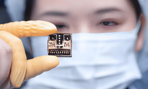 原创 
            中国芯片出口继续快速增长，依托成本优势，反杀美国芯片