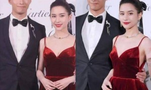 向太曝窦骁何超莲婚变细节，男方被曝索要8000万，更多内幕曝光！