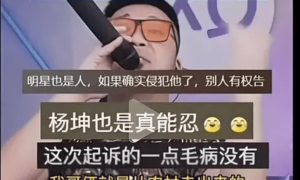 原创 
            一月狂赚 500 万，“明星平替”成新流量密码