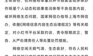 一路狂飙的小红书被约谈警告