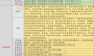 10月30日投资避雷针：新易盛第三季度营收环比下滑4.97% 净利环比增长0.6%