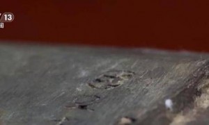 看小说学盗墓挖走20余件国宝 特大盗墓案细节曝光