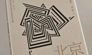 淘宝上卖9块9的DeepSeek，让我看到了被折叠的魔幻世界。