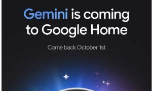 拳打英伟达、脚踢苹果？谷歌被曝加码推销自研芯片 AI助手也有进展