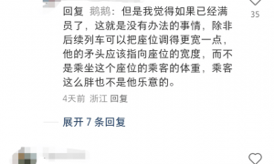 乘客吐槽高铁邻座400斤男子致拥挤，12306回应：建议现场协商换座