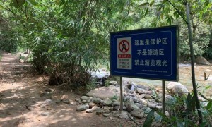 5名“驴友”爬山迷路，被救出遭顶格罚款5000元后上诉，法院：不冤！