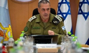 环保少女被以军虐待后的八国声明,巴以在埃及能谈出个啥?