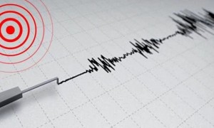 日本福岛县近海发生4.9级地震