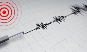 日本发生4.7级地震 东京震感明显