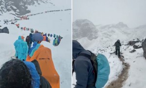 珠峰暴雪中,向导一人一狗带上百人撤离,有人转账5000元感谢,本人回应