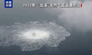 意法院批准将一“北溪”案嫌疑人引渡至德国