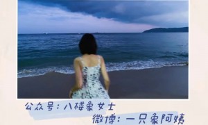 快餐式爱情