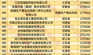 2025年中国民营企业500强榜单发布:京东、阿里、恒力集团、华为、比亚迪居前五名