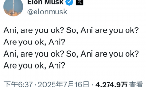 邪修马斯克,只能靠中国回血了