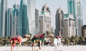 中东土豪,疯狂抄底中国!急于跳下“美元战车”?