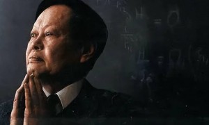 原创 
            华人五大世界级科学家,钱老第三,华罗庚未上榜,杨振宁让人意外