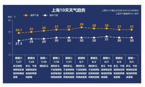 上海昨日大风一棵行道树突然折断,一名“闪送”小哥被砸身亡