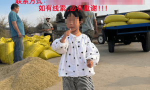 辽宁失联4岁女童已找到,警方通报:生命体征平稳;此前车内睡觉离奇失踪,村民曾称担心被老鹰抓走