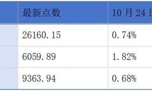 和辉光电、中伟股份、智汇矿业递表港交所;瑞博生物赴港上市获中国证监会备案通知书丨港交所早参