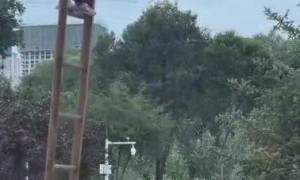 幼童边哭边表演高危险动作?当地多部门了解介入