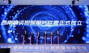 锚定“十五五” 共谋普惠金融新未来——2025年度融资担保行业高质量发展论坛在重庆成功举办