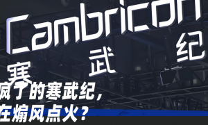 石头科技“贪大”,昌敬“不务正业”