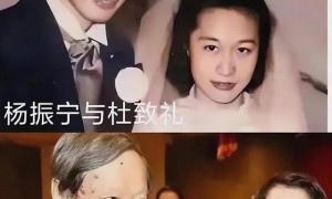 原创 
            杨振宁去世前状态曝光,卫生间摔跤酿大祸!翁帆疑早已接受了现实