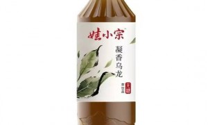 “娃小宗”存活一个多月后,宗馥莉重新启用娃哈哈